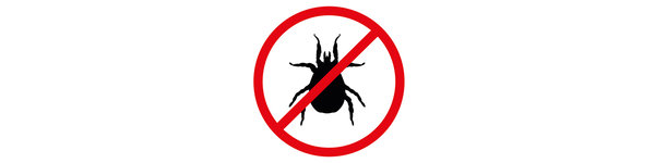 All about your house dust mite allergy