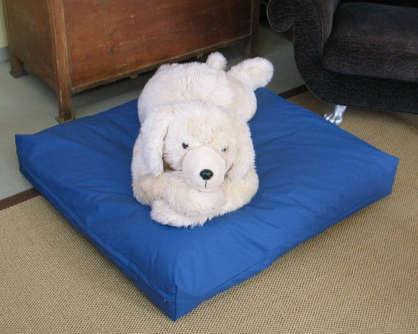 Allergy + Incontinence Cushion Cover For Your Pet